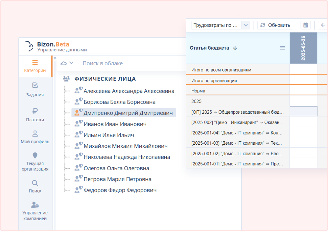 Рабочее пространство Bizon.help